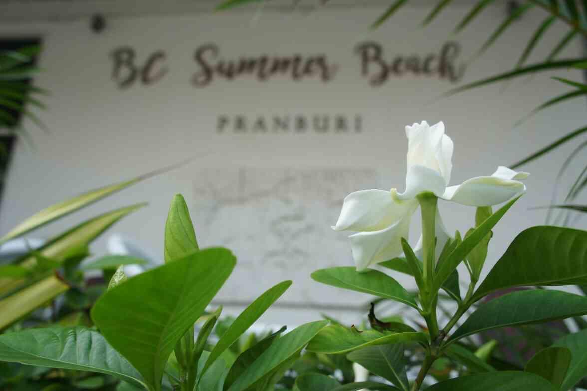 Bc Summer Beach Pran Buri Dış mekan fotoğraf